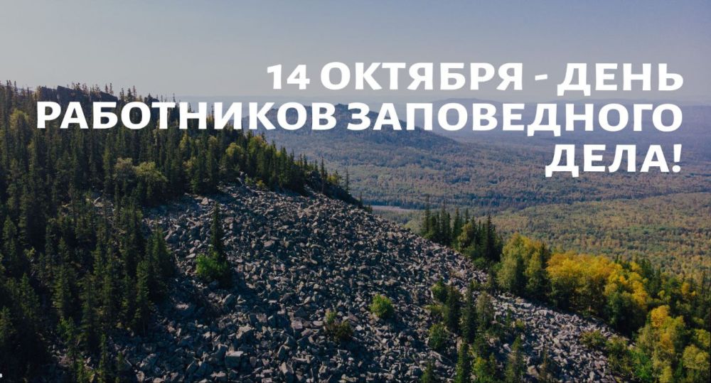 �������, 14 �������, ���������� ���� ���������� ����������� ����