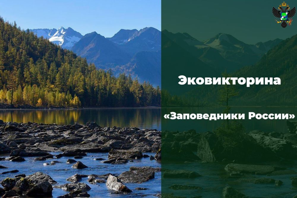 ������������ "����������� ������"