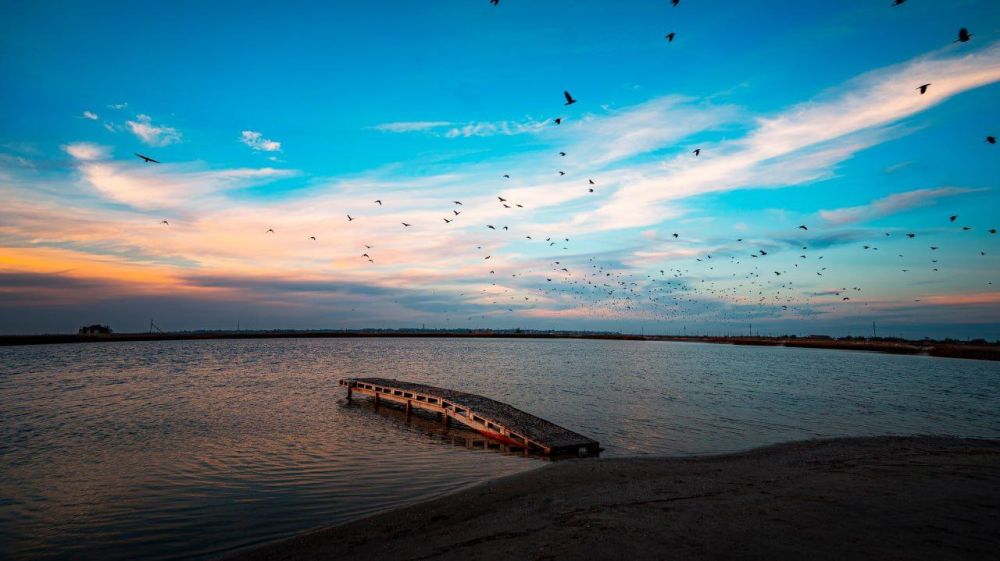 ���������� � ������� ������