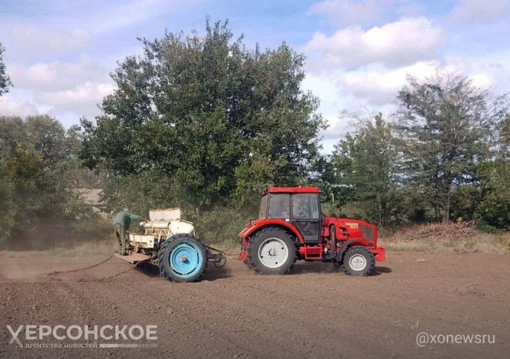 ���������� ����������� ������� ������ ��� ��������� ��������