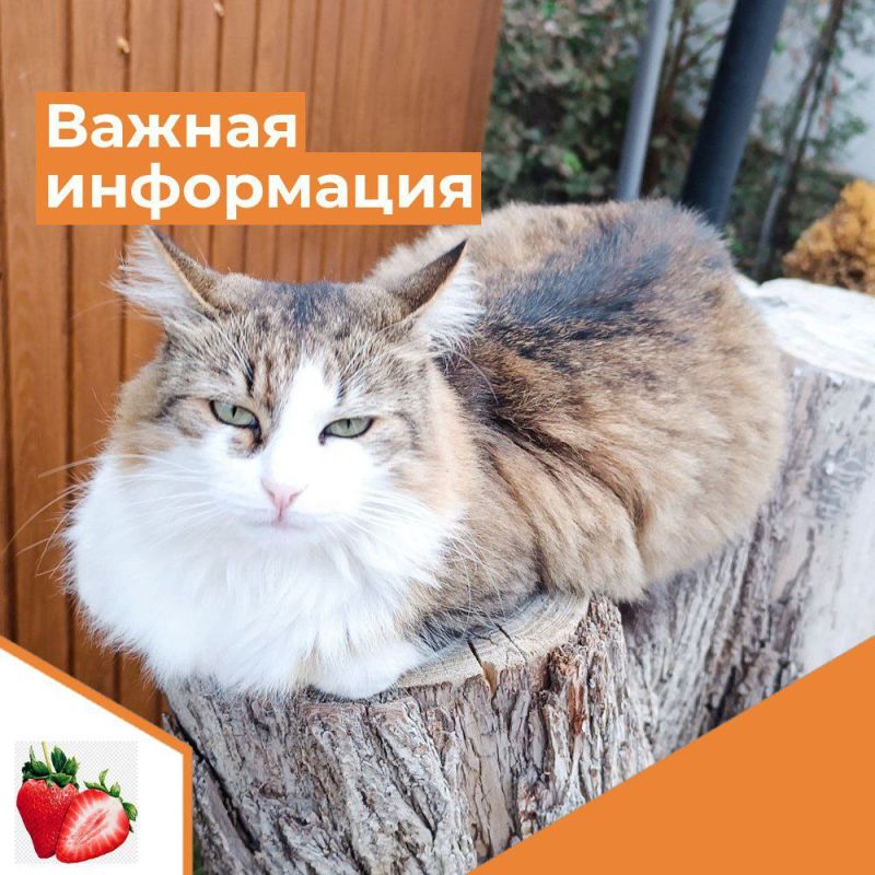 ��������� ������ �����������!