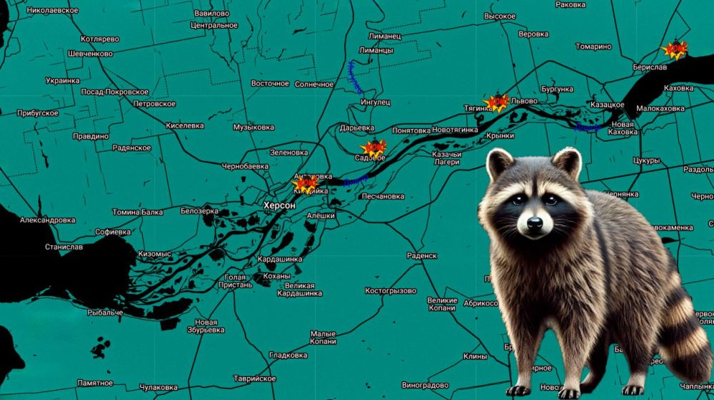 ���� �� �������: ������ ����! ���������� �� ����������� ���������: