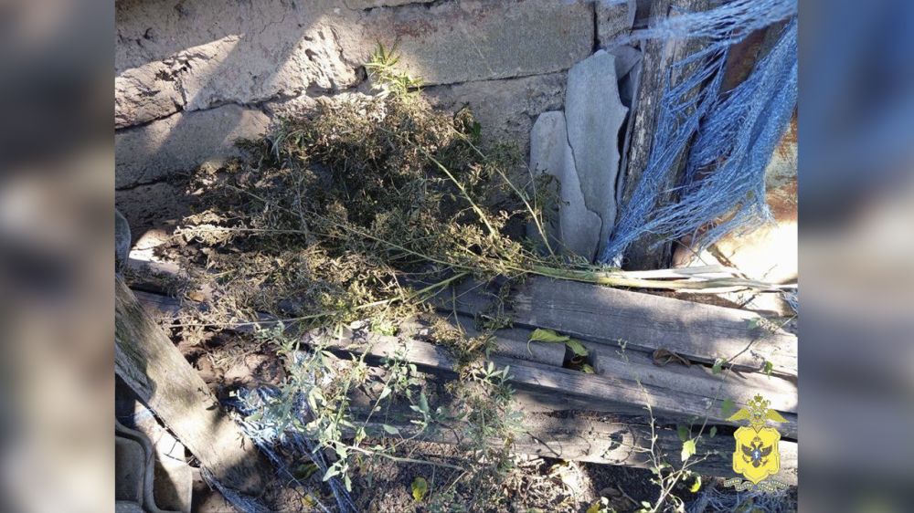 ����� 1,5 �� �������-������ ������ ����������� � ������ ���������������� ������ ���������� �������