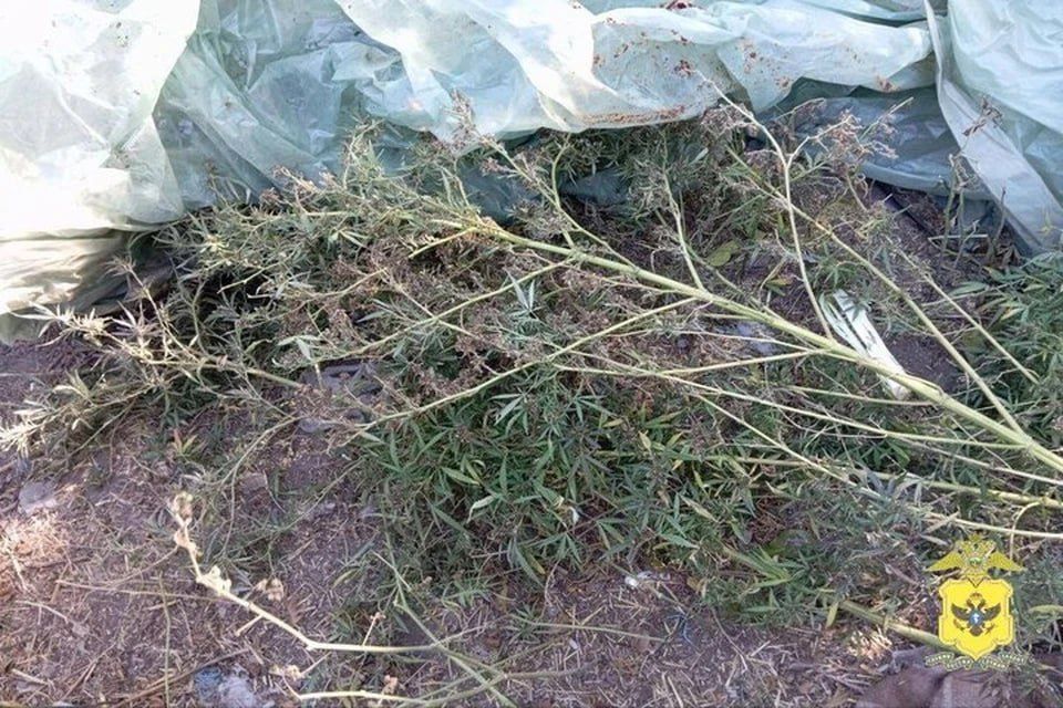 ������� ���������� ������� ����� � �������� �����������