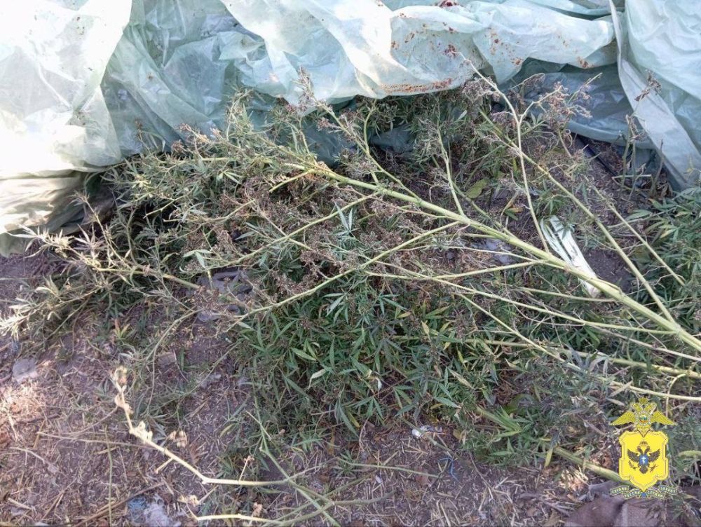 ����� 1,5 �� ������������� ������� ������ ����������� � ������ ���������������� ������ ���������� �������