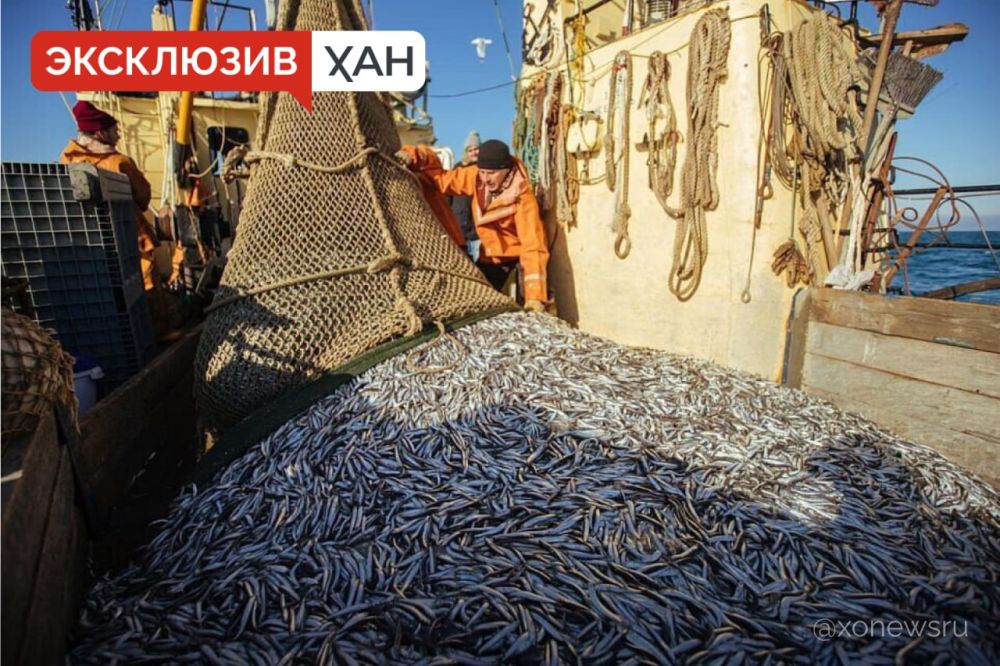 123 ������� �������� � ���������� ���� 203 ���������� �� ����� ���� � �������� � ������ �����