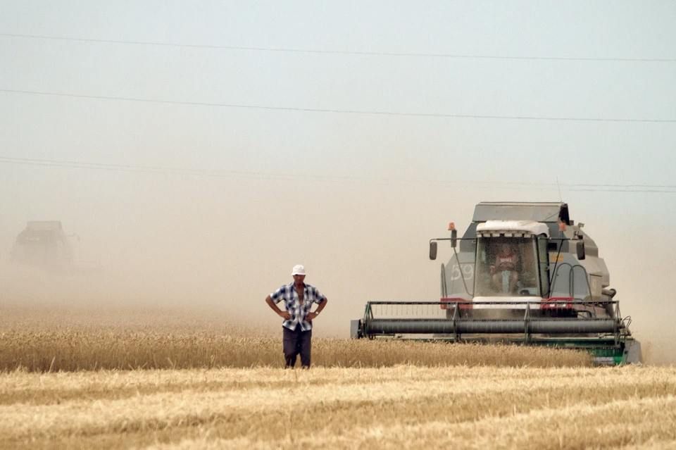 ������� 2024 ����: ������������ ��� ���������� � ����������� ����� ������ � ���������� �������