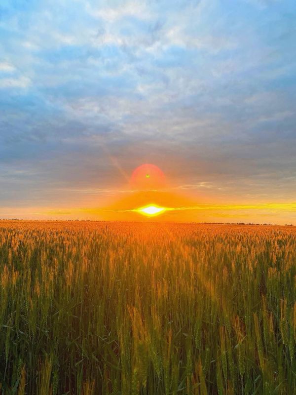 ����� ����������: � ������ �����! ����� ���� �������� ����� ���������, ����� ����� � ����� �����������, ������� ����� �� ��������