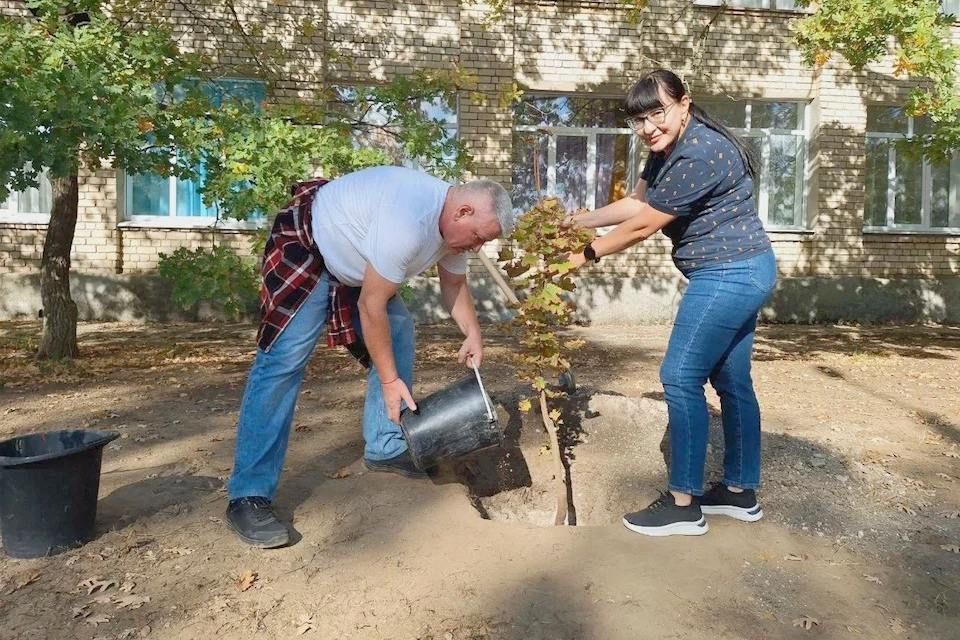 � �������-���� ������ ������� � ��������� ���������� �����