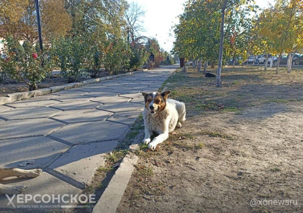 ������ ���: ��� ����� ������������ ������ �� ��������� �� ����� �������� �� ���������