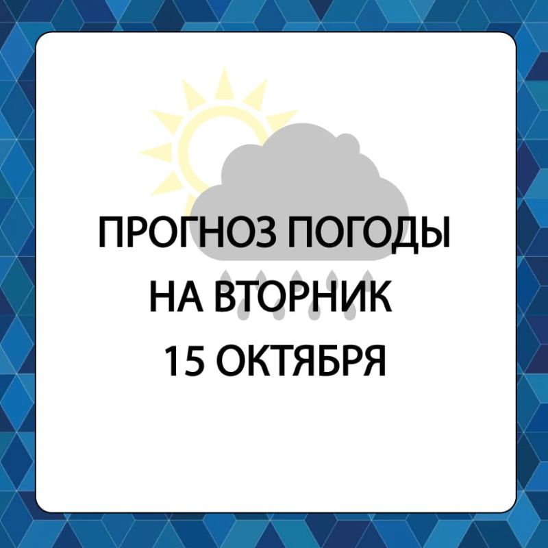 ������� ������ � ����������� ������������� ������ �� �������, 15 �������