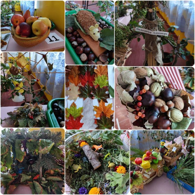 ������� �����������: �������� ������� �� ��������� ���������� � ���������� �����