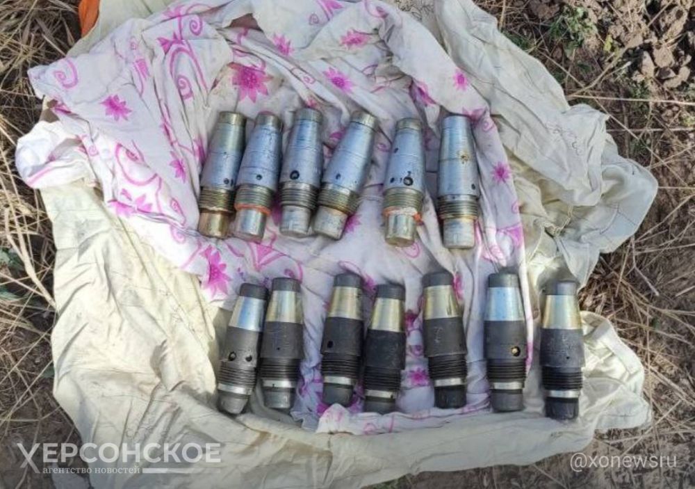 ������ ������� �������� �� ������ ���������� ���������, �� � ������������� �����