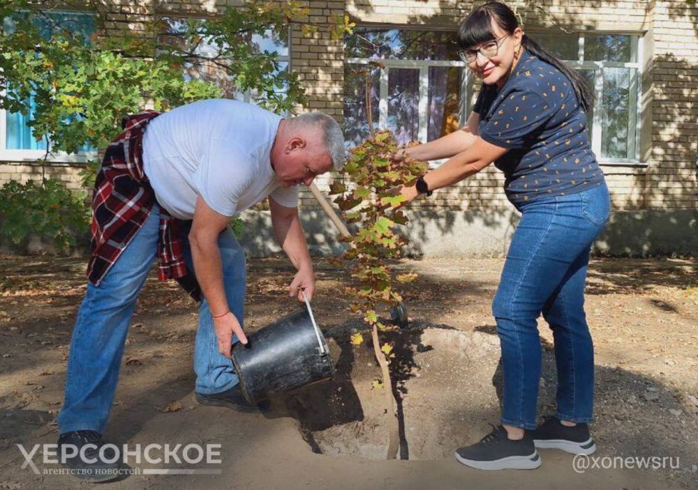 ���������� ��������-���� ������ ������ �� ���������� ����������� �����