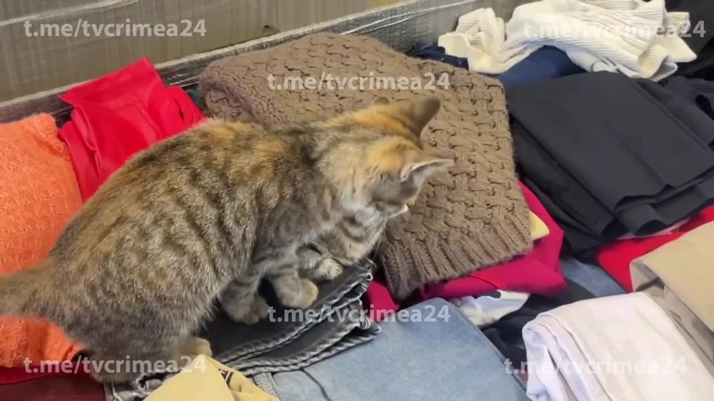 � ����� ��������� ��������, ������� ���������� � ����� ��� ������ ���