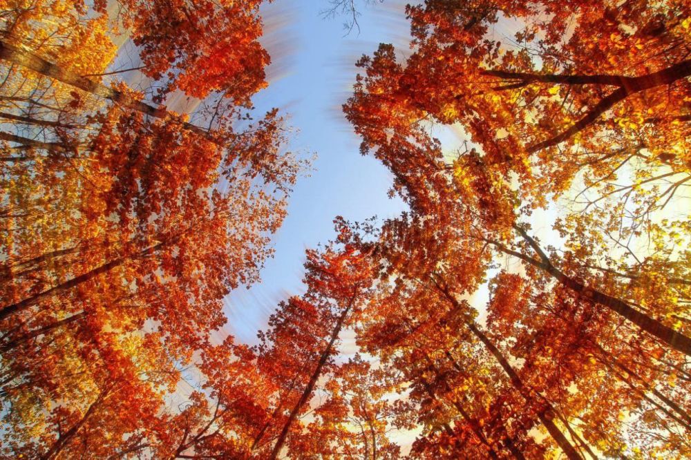 � ������ �����, �����������!