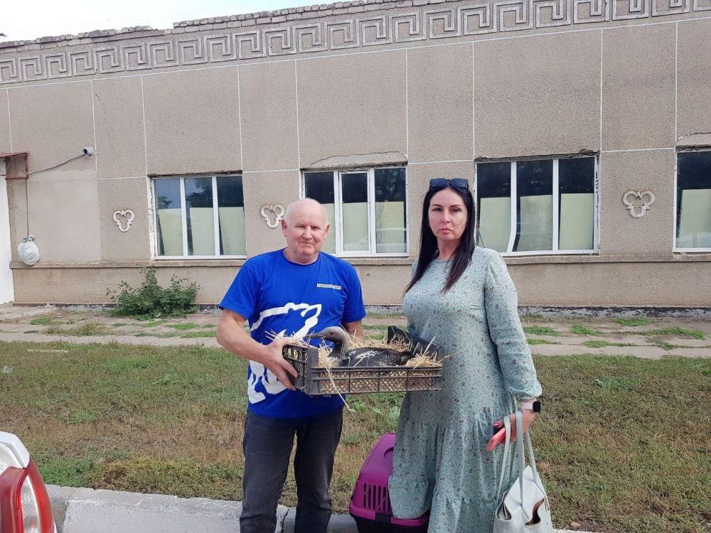 �������� ������ ���������� ������ � ���������� ������� � ���� ���������