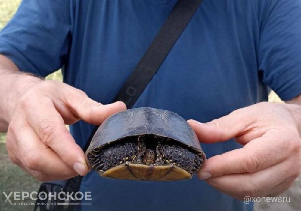 ���� ������� �����������. � ������������ ����������� ������ �������� � ������