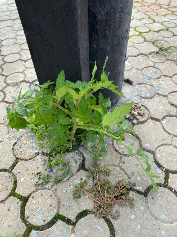 ���������� ���� � ����� � ����, ��� �������� ����������� ���������� ������� � �����������