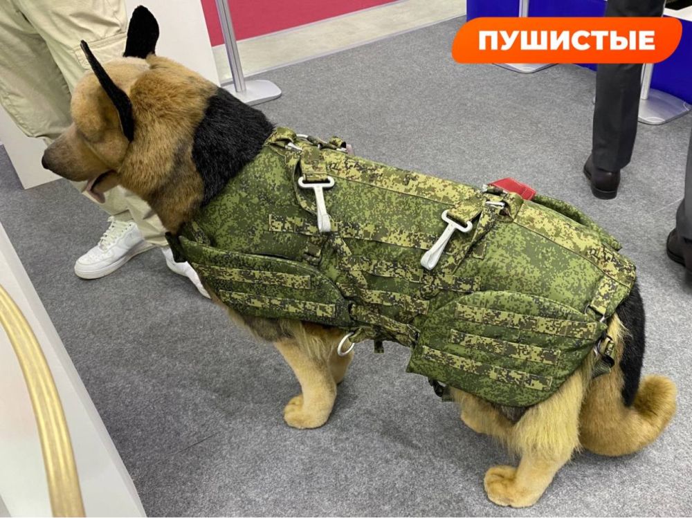 �������� ����������� ��� ��������� ���-��, ��������������� ��� ������� ����� ������� � ���������� ����� ������ �� ���, ���������� ��� ��������