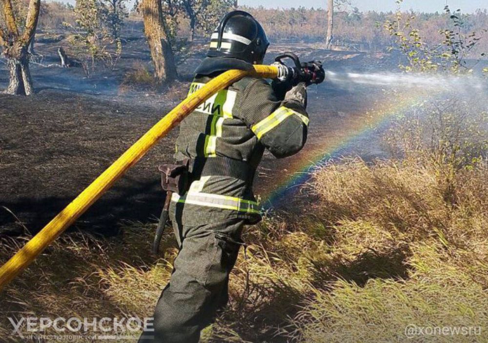 � ���������� ������� ������������ ����������� �����