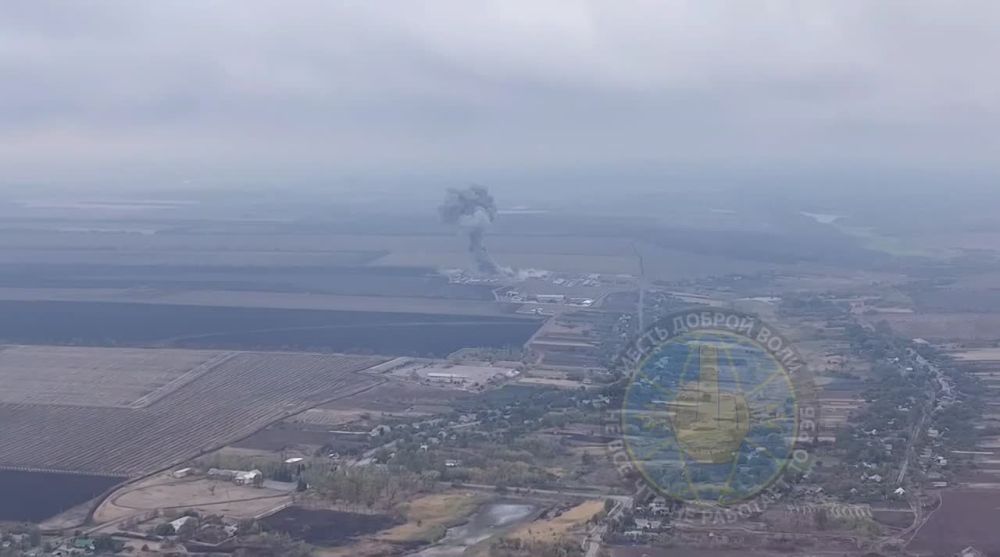 ��� ������: #������ �� ���� 17 ������� 2024 ����