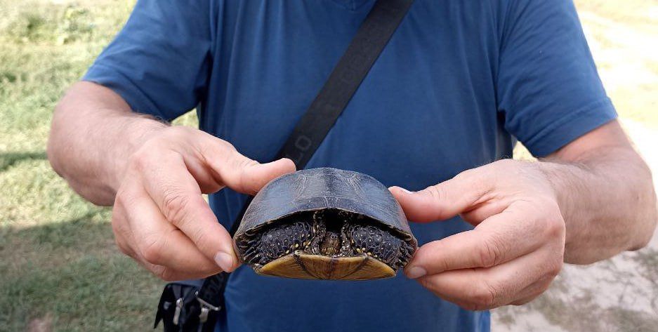 ������������� ������� �� ������������� ����������� �����������: ������ ��������