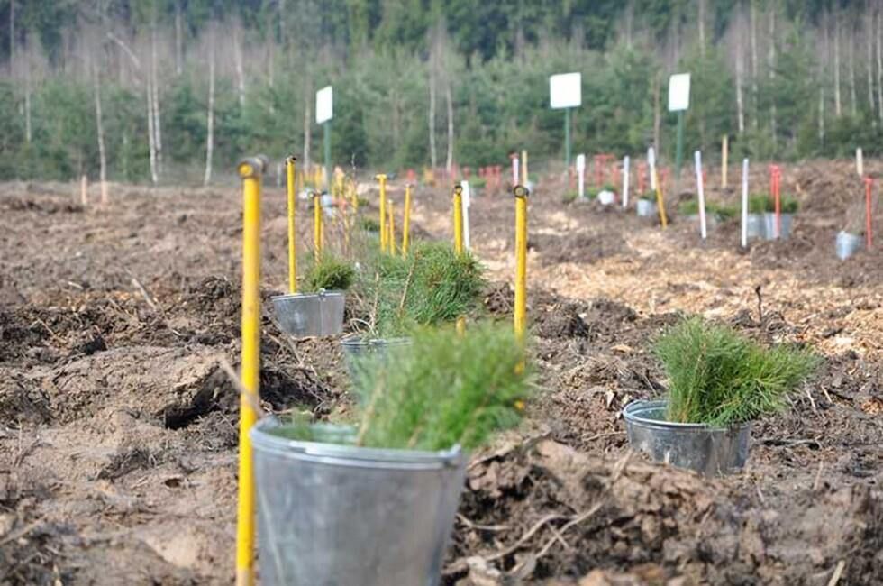 � �������� � ���������� �� ���� ��� �������� ����� 276 �� ����