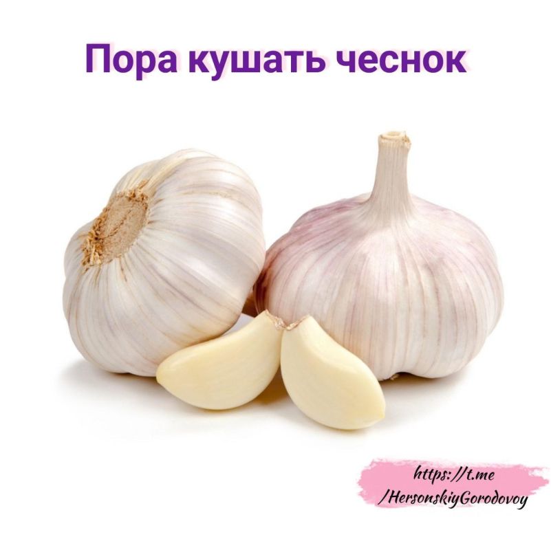 "��� ������, ������ �� ������"