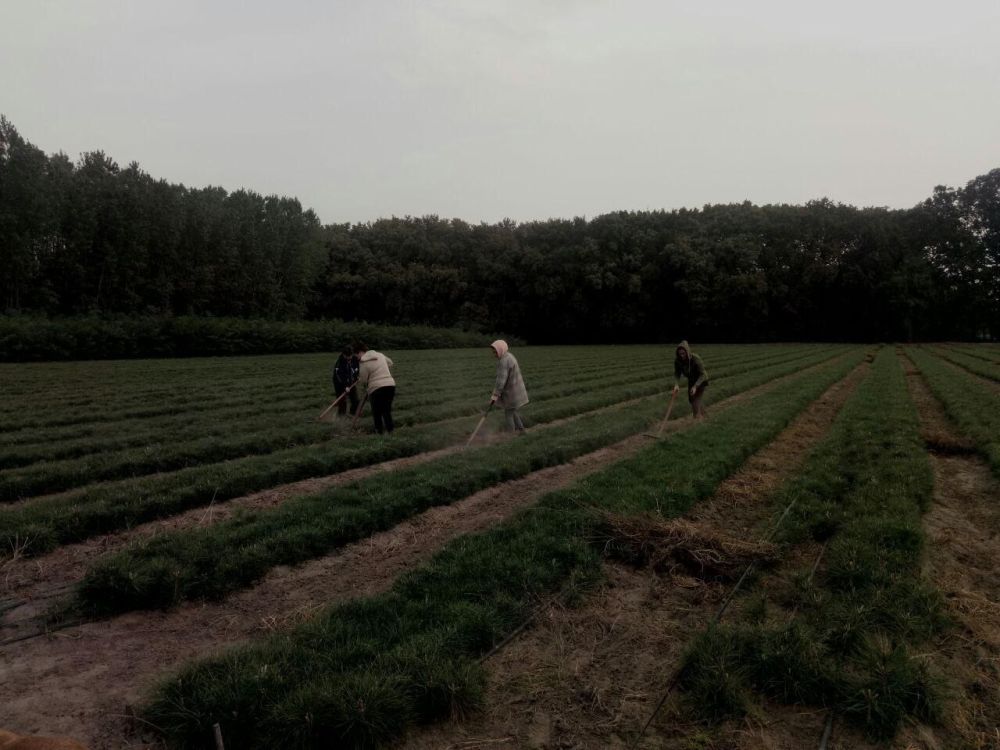 � ��������������� ����������� ���������� ������ �� ����� �� �������� ����� ��������