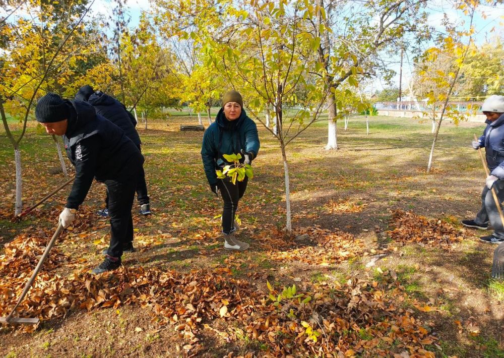 ������ � ���������������. �������� ���������� � ���������� ������