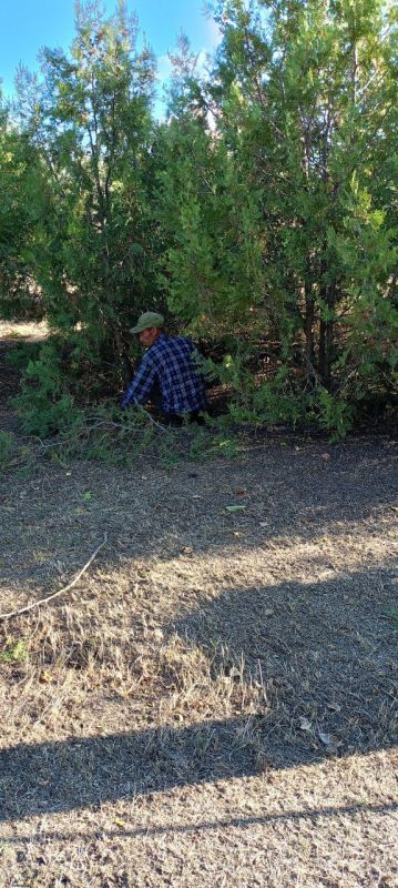 � ���� ����������� ������ ����� �� ��������������� ����������