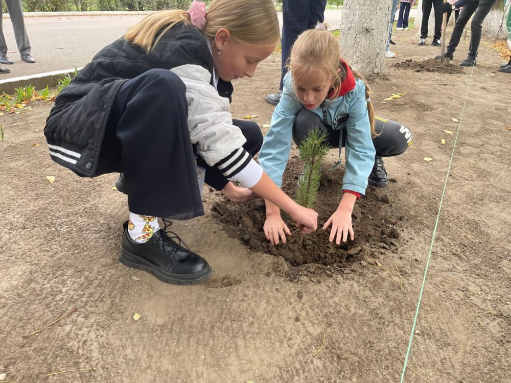 � ���������� ����� ������������ ����� ����� � �����