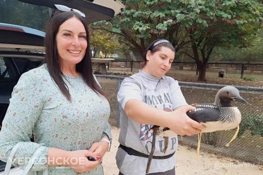 � ���������� ������� ������ ������ ���������� ������