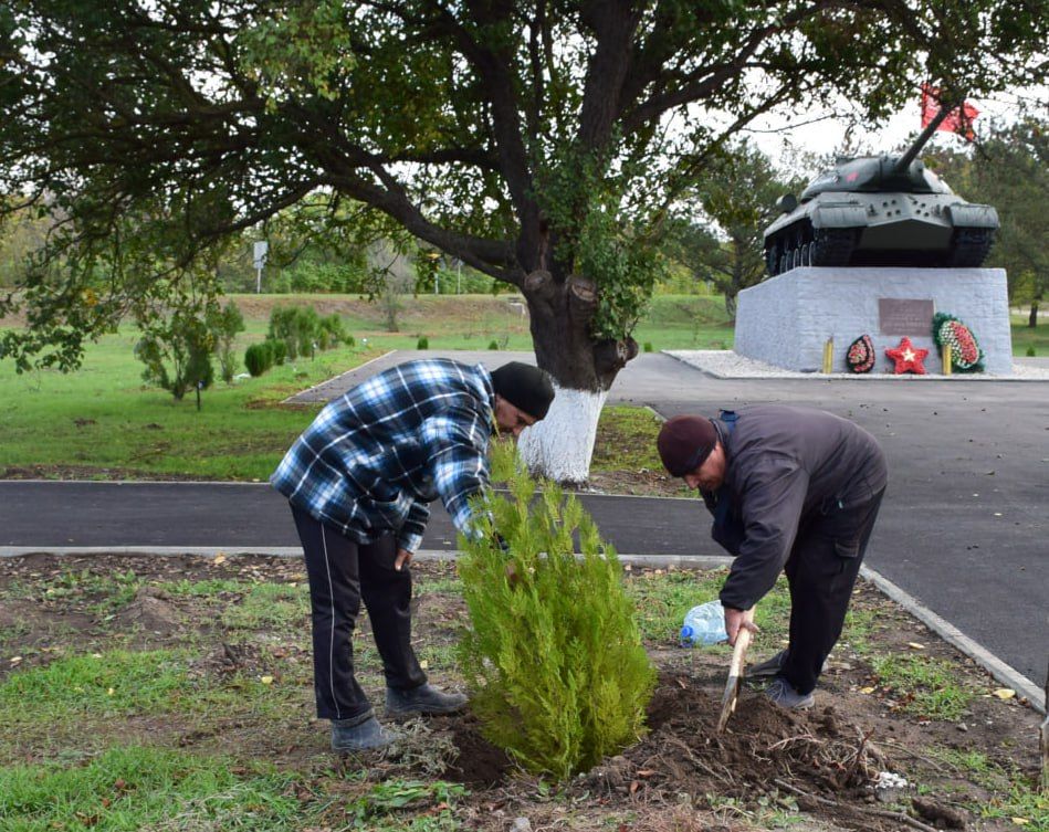 �� ���������� ����������� �������������� ������ �������� �������