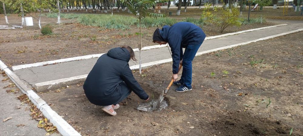 � ��������� �������� ��� ������ ���� ����� �������� � ���� ����