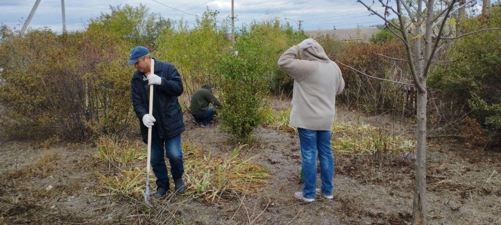 ������� ��������� ������� �� ���������� ����������� �����