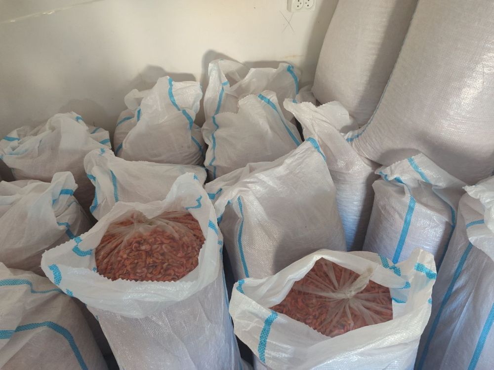 В Скадовском округе сотрудники правоохранительных органов пресекли браконьерскую деятельность