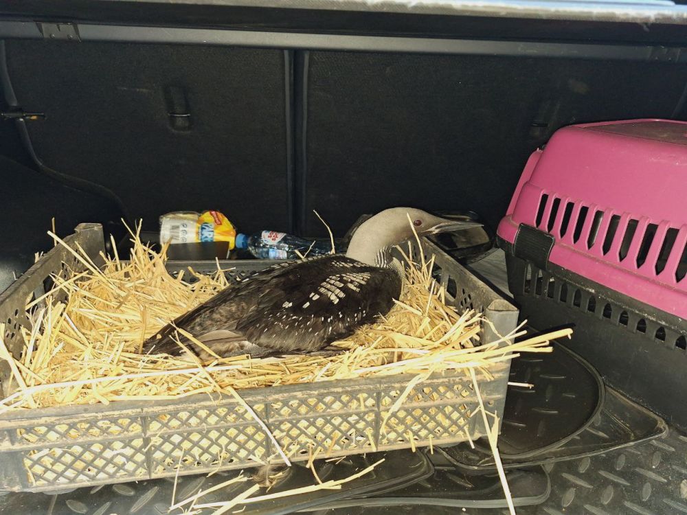 �������� ������ ���������� ������ � ���������� ������� � ���� ���������