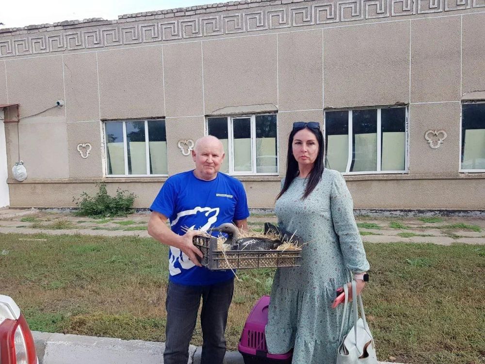 � ���������� ������� ������ ������ ���������� ������