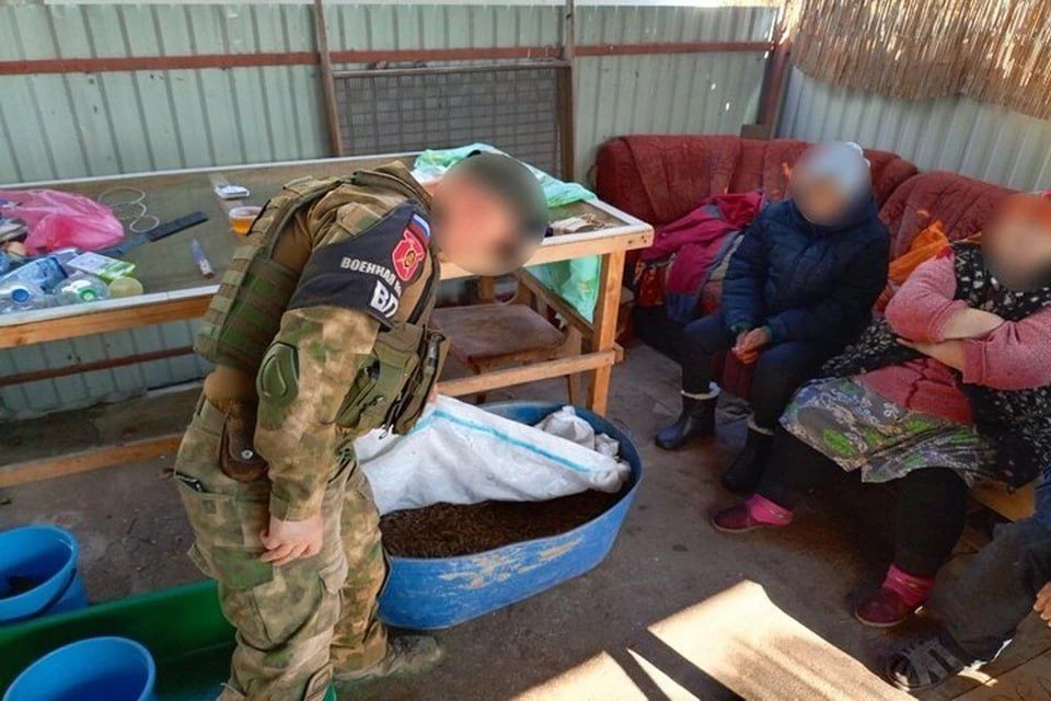 В Скадовском округе поймали браконьера, ловившего креветок