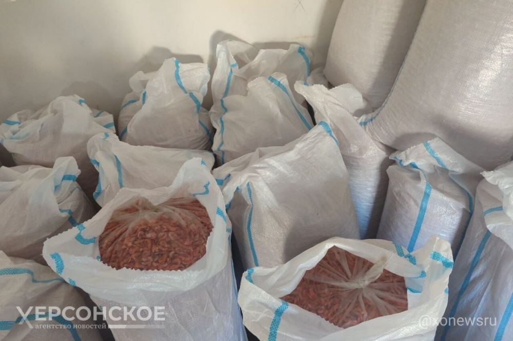 В Скадовском округе поймали браконьеров, ловивших креветок