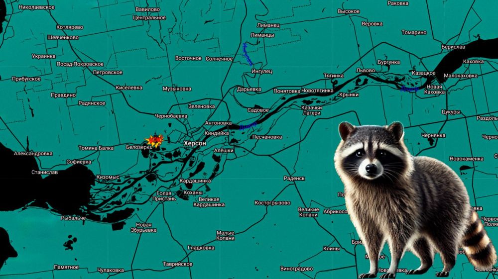 ���� �� �������: ������ ���� ����������� ����������: