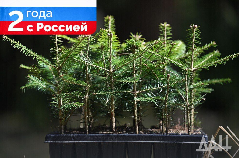 ��� ������ �� �������������� �������� ������������� ������ ���������