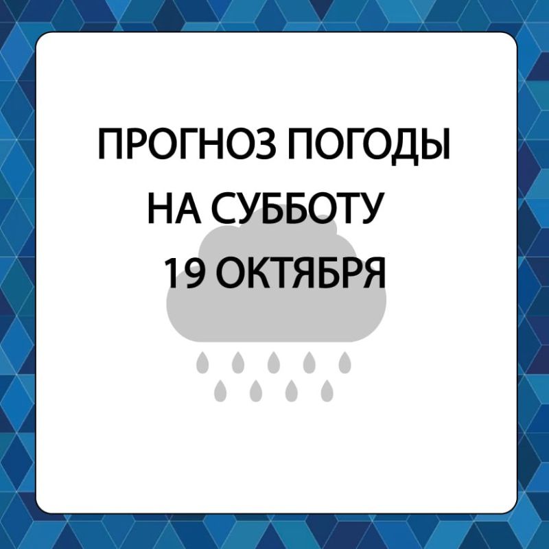 ������� ������ � ����������� ������������� ������ �� �������, 19 �������