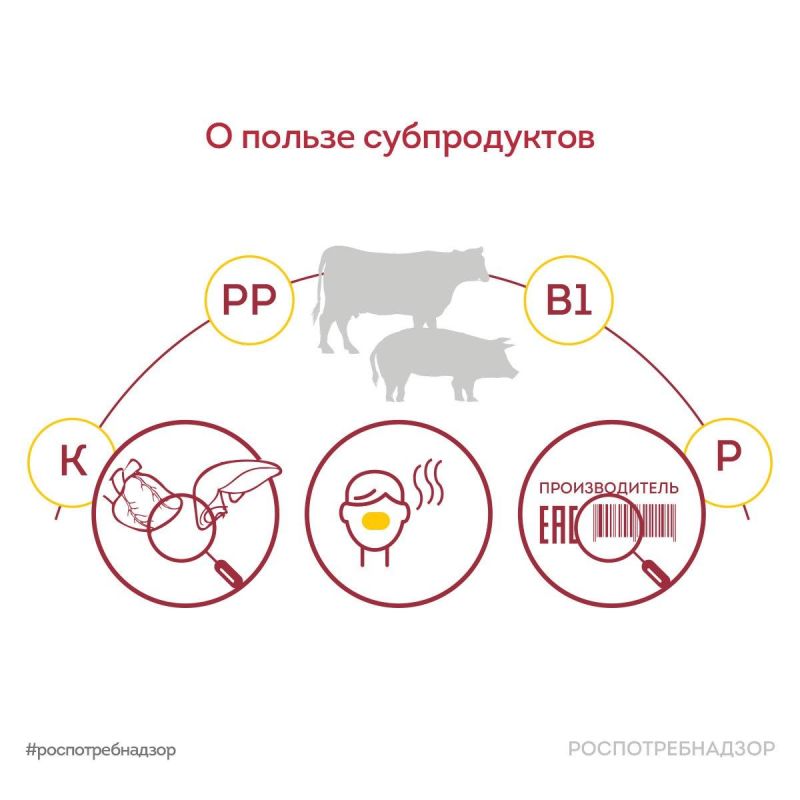 ��������������� ���������� � ������ ������������