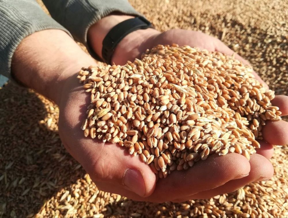 ���������� ������� ������� �� ������������� �����, ������ �������� ������