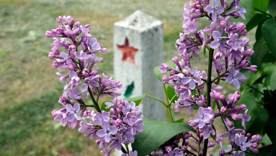 � ������������ ������ ������ ������ ����������� ������������ � ��������� ���������