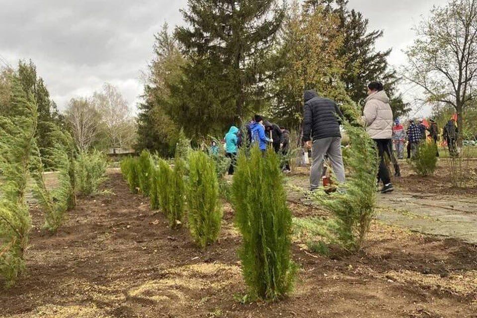 � ���������� ������� � ����� ��� ���� �������� ����� 200 ��������