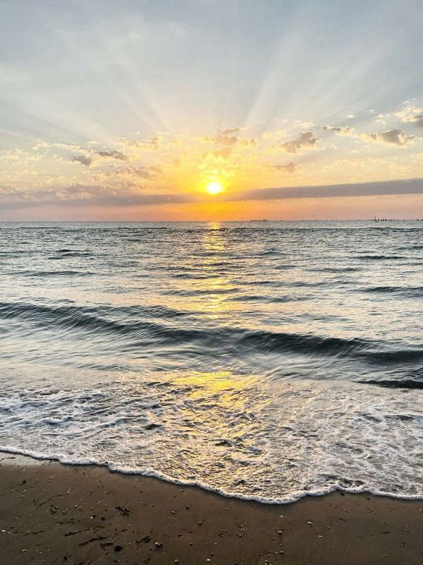 ����� ����������: ������� ����!. ����� ��������� ��� � ������� ����� ������� ����� ������� ������! ���������� ���� ���������� ����� ����������� �������